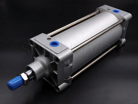 SC-SWR-100x25-S Пневмоцилиндр